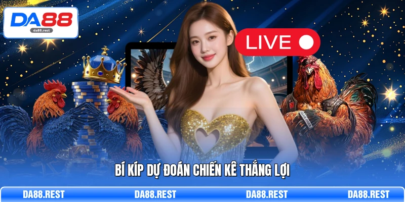 Đá Gà DA88 - Trải Nghiệm Hình Ảnh Sắc Nét Đến Từng Giây 3 Bí kíp dự đoán chiến kê thắng lợi