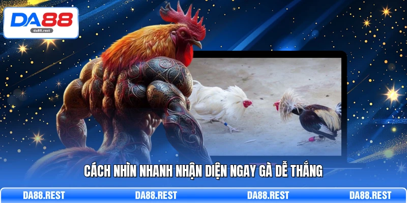 Cách nhìn nhanh nhận diện ngay gà dễ thắng