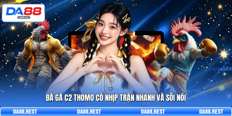 Đá gà C2 Thomo có nhịp trận nhanh và sôi nổi