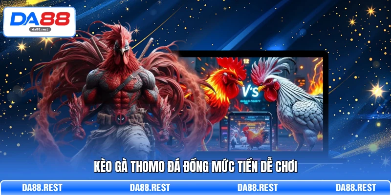 Đá Gà Thomo Từ Cách Xem Kèo Đến Đặt Cược Chuẩn Xác 3 Kèo gà Thomo đá đồng mức tiền dễ chơi